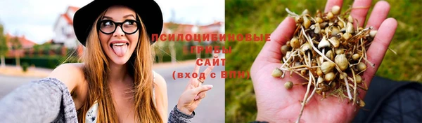MDMA Армянск