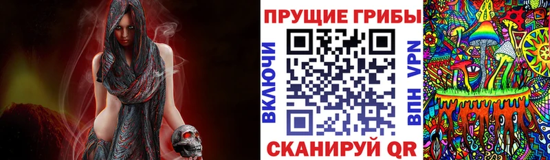 Галлюциногенные грибы прущие грибы  Кологрив 